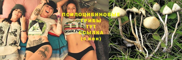 крисы Володарск
