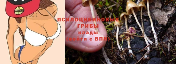 крисы Володарск