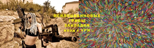 крисы Володарск