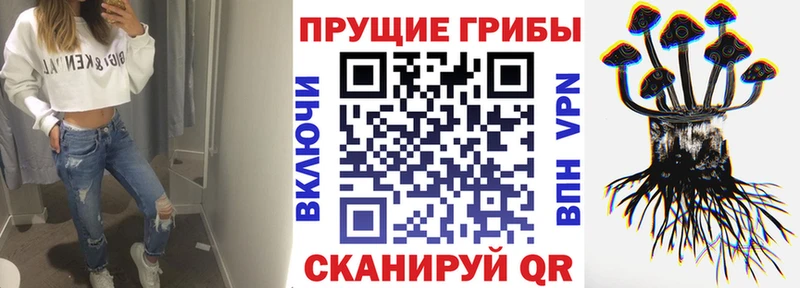 Купить где  Собинка  Галлюциногенные грибы Cubensis 
